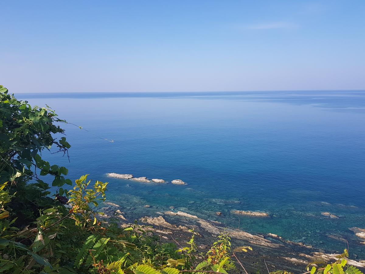 Coconut Island Resort Нгапали Екстериор снимка